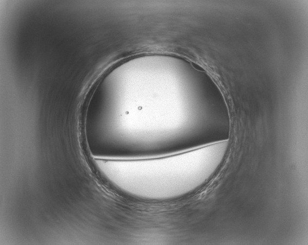 X0000073900103200608110946