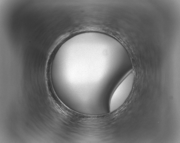 X0000073900104200608110946