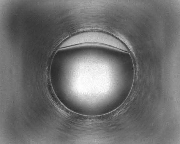 X0000073900105200608110946