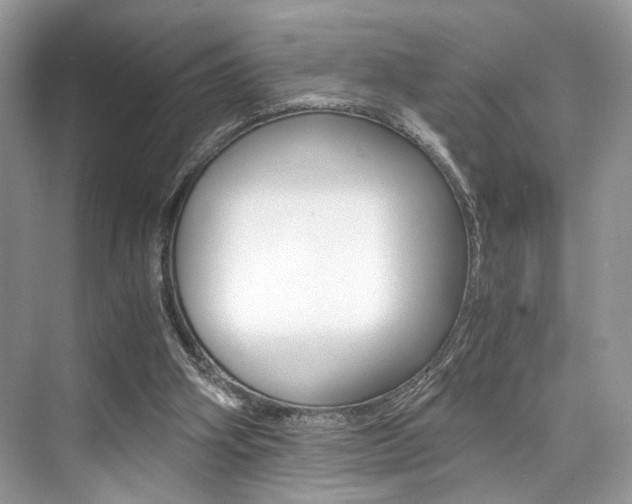 X0000073900106200608110946