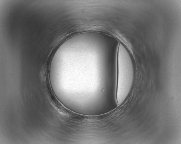 X0000073900107200608110946