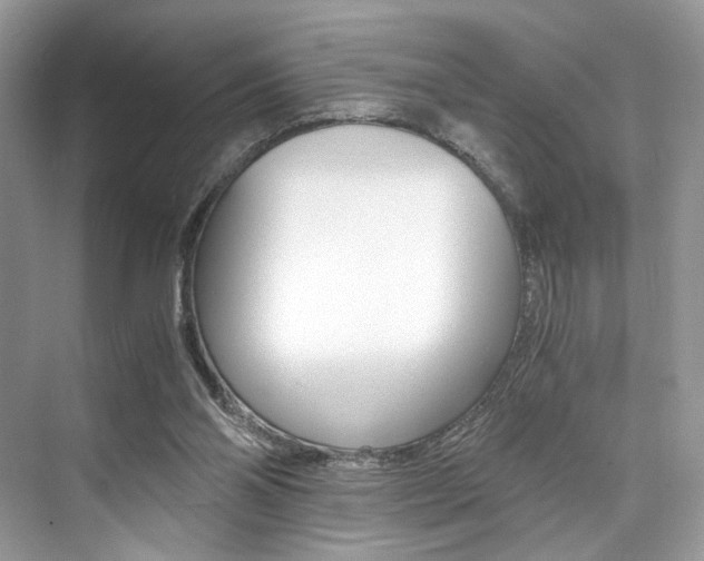 X0000073900110200608110946