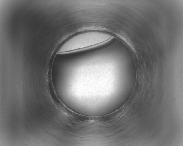 X0000073900111200608110946