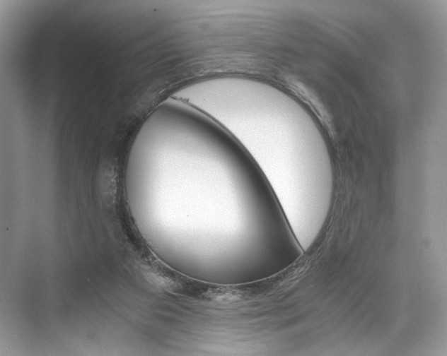 X0000073900113200608110946