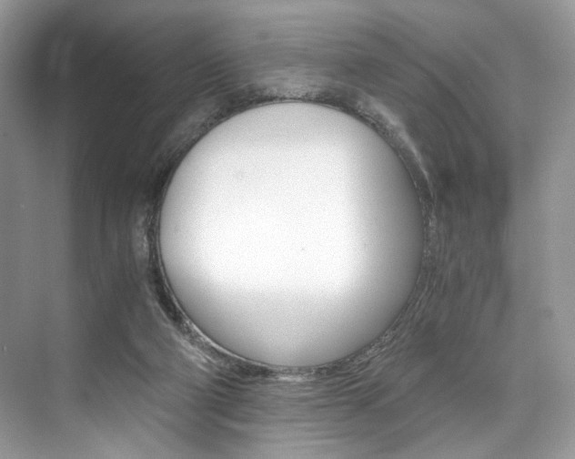 X0000073900114200608110946