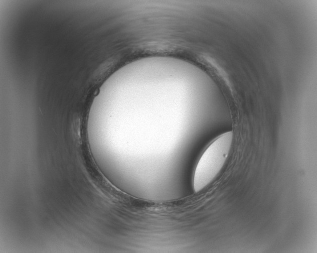 X0000073900115200608110946