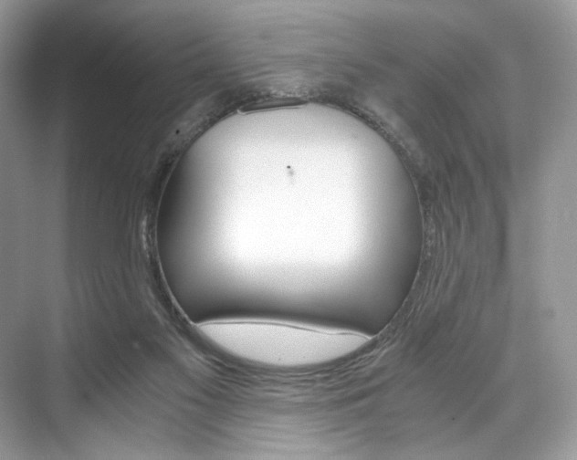 X0000073900117200608110946