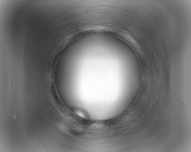 X0000073900119200608110946