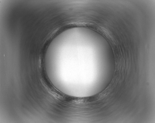 X0000073900120200608110946