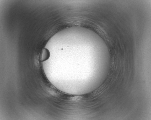 X0000073900122200608110945