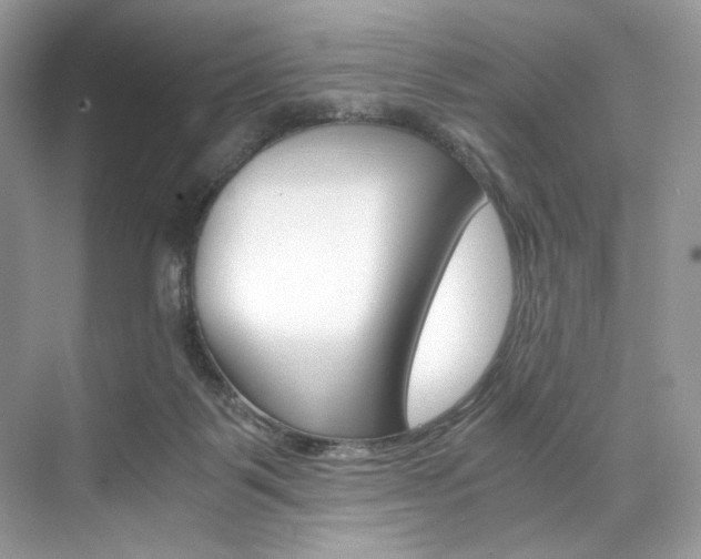 X0000073900123200608110945