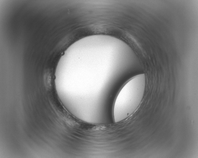 X0000073900124200608110945