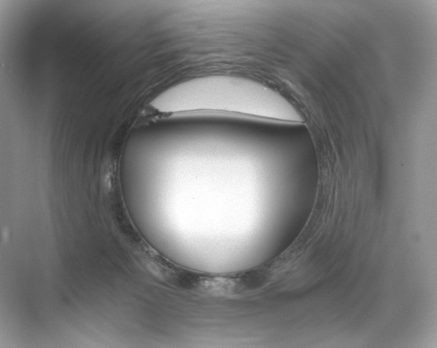 X0000073900125200608110945