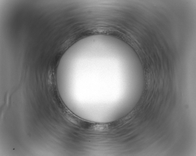 X0000073900126200608110945