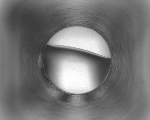 X0000073900127200608110945