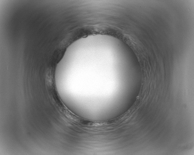 X0000073900129200608110945