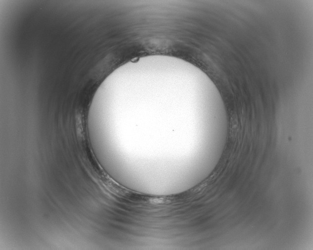 X0000073900130200608110945