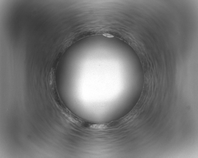 X0000073900133200608110945