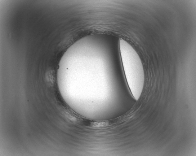 X0000073900135200608110945