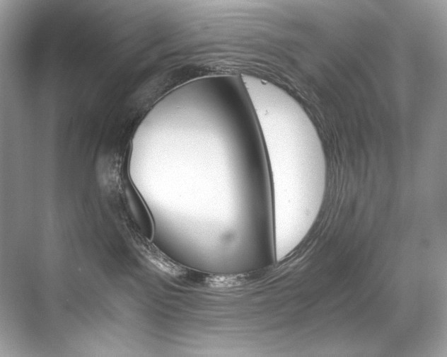 X0000073900141200608110945