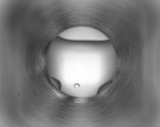 X0000073900142200608110945