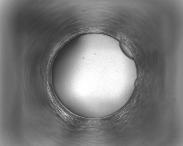 X0000073900145200608110944