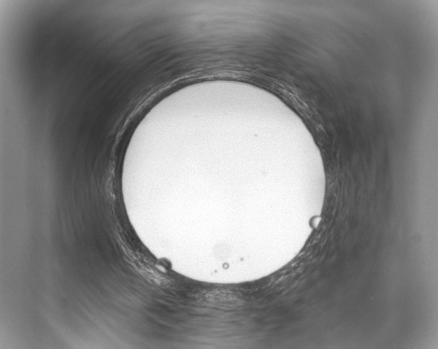 X0000073900146200608110944