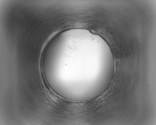 X0000073900147200608110944