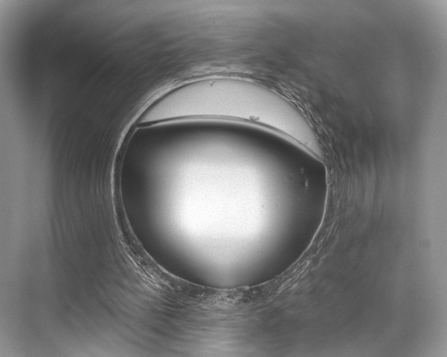 X0000073900148200608110944