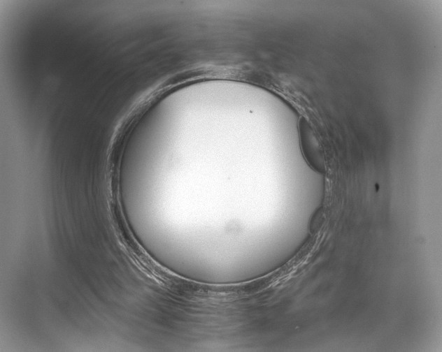 X0000073900149200608110944