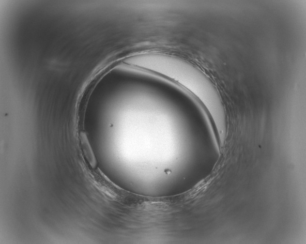 X0000073900150200608110944