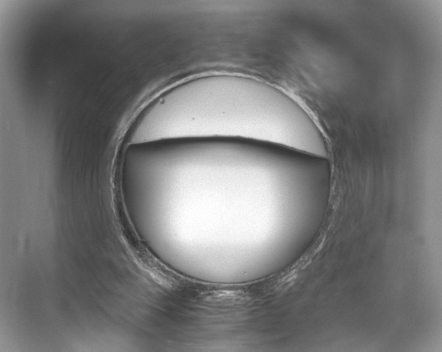 X0000073900151200608110944