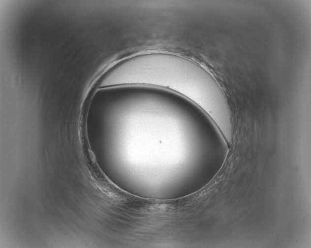 X0000073900152200608110944