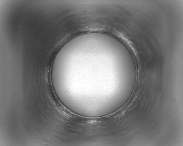 X0000073900153200608110944