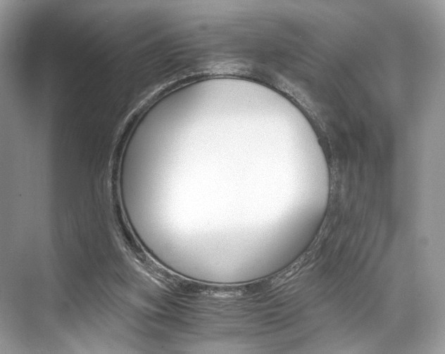 X0000073900155200608110944