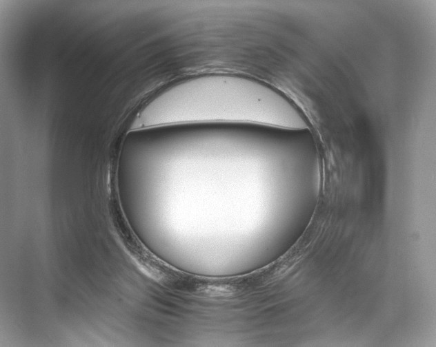 X0000073900157200608110945