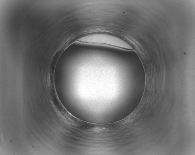 X0000073900158200608110945