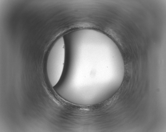 X0000073900159200608110945