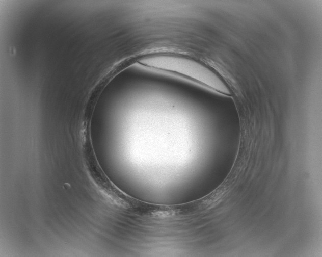 X0000073900160200608110945