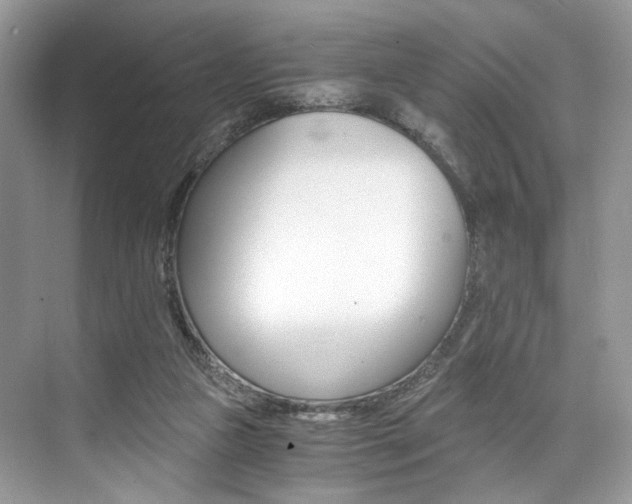 X0000073900161200608110945