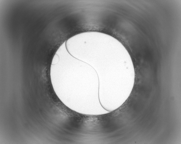 X0000073900162200608110945