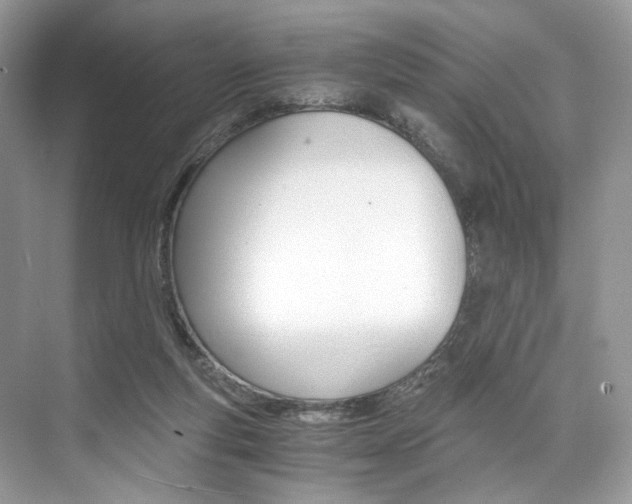 X0000073900163200608110945