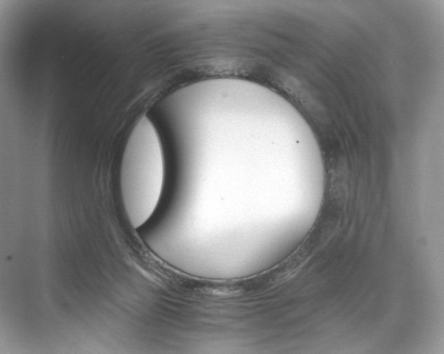 X0000073900165200608110945