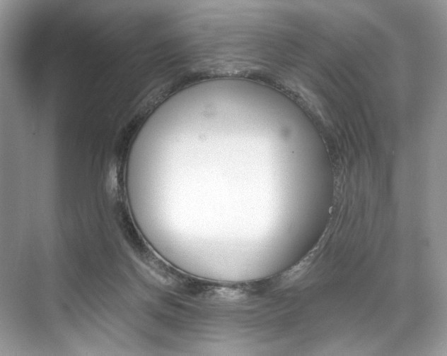 X0000073900166200608110945