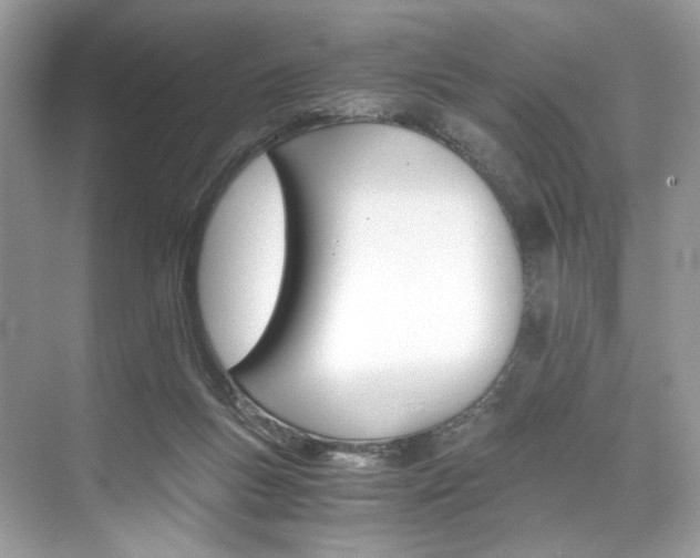 X0000073900167200608110945