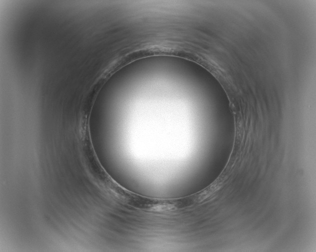 X0000073900168200608110945