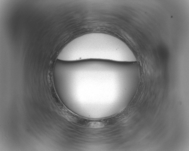 X0000073900169200608110945