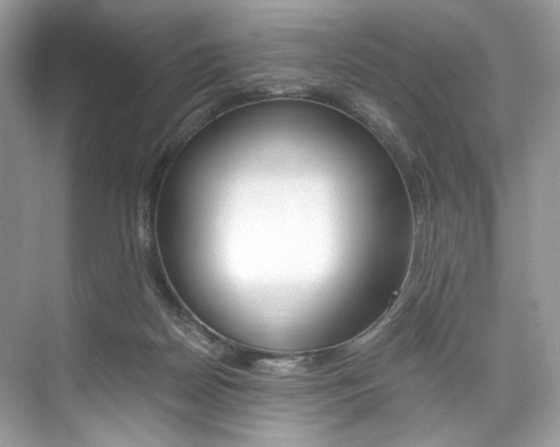 X0000073900170200608110945