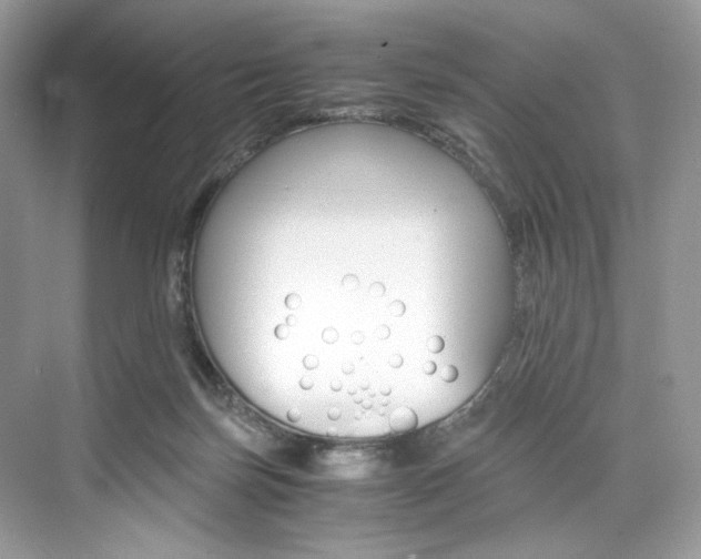 X0000073900171200608110945