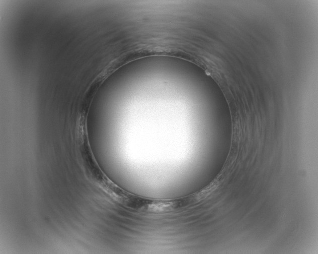 X0000073900172200608110945